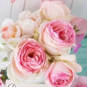 Meet your Posher, Gabriela